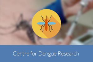 centre_for_dengue_research